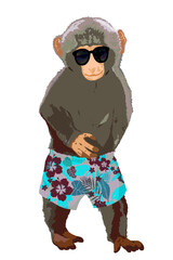 Cute monkey wearing a sunglasses