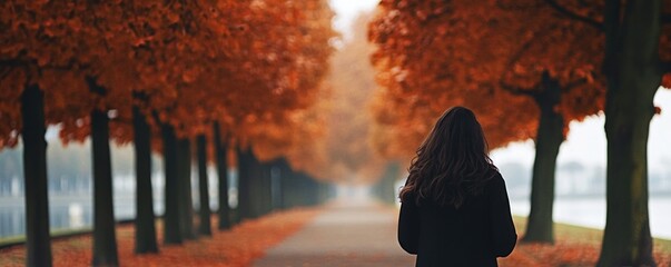 A solitary figure meanders down an autumn lane, embraced by trees with vibrant foliage and a serene ambiance