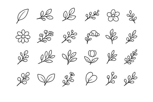 Collection of Hand-Drawn Floral and Leaf Elements