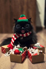 Crazy black cat in Christmas outfit causing mischief with gifts and Christmas tree &mdash; ai