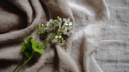 Minimal Still Life with White Flowers on Soft Linen Fabric