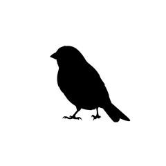 Obraz premium A black silhouette of a small bird, possibly a sparrow, standing on a plain white background, depicted in a simple, graphic style.