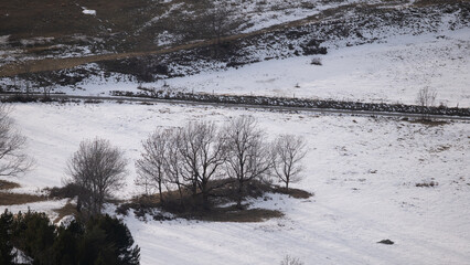 winter landscape with snow