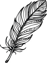 Fototapeta premium A detailed black and white illustration of a single elegant feather is shown
