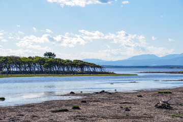 枯れたミズナラが並ぶ野付半島のナラワラ