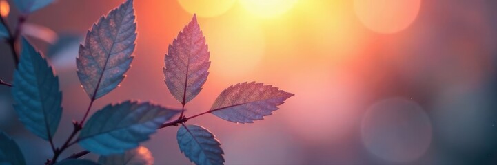 Soft light illuminates delicate leaf silhouettes against a single-hued surface , art, backdrop