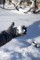 a figure in the shape of a dragon made of snow, conspiracy games, cold season