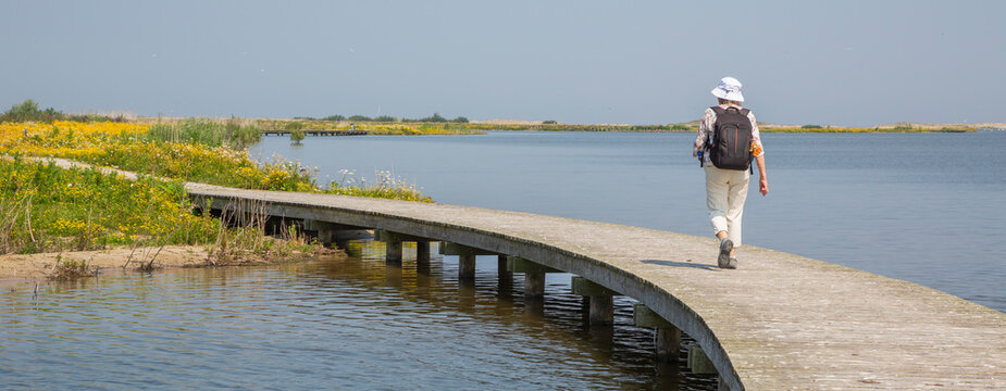 Walking on the boardwalk at Marker Wadden in the Netherlands during a sunny day with flowers and water nearby