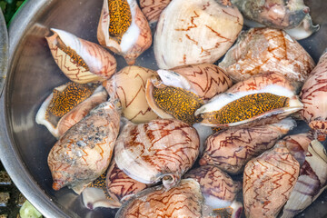 装飾品や工芸品として使われるタガヤサンミナシ