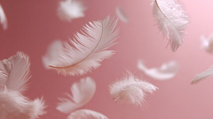 Floating White Feathers Against Soft Pink Background