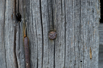 There are rusty nails on the board.