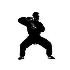 Silhouette of a man in a martial arts stance.