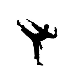 Silhouette of a martial artist executing a side kick.