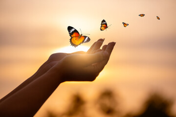 Butterfly Resting on Finger Tip Against Golden Sunset Sky. Butterfly resting finger tip hand touch freedom inspiration nature concept hope serenity golden. The young woman released the butterfly from  © sarayut_sy
