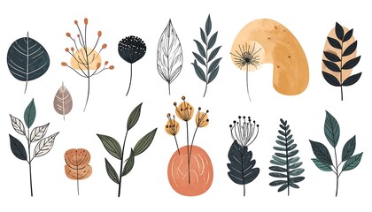 Collection of Abstract Botanical Elements and Floral Illustrations.