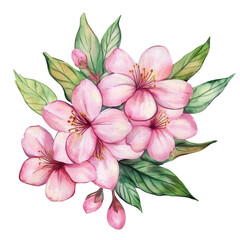 A group of pink flowers with green leaves is arranged together against a white background, showing floral details