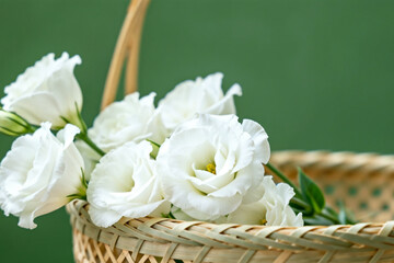 White Lisianthus Flowers in Woven Basket with Green Backdrop by generative AI technology