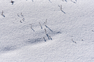 하얗고 차가운 눈밭