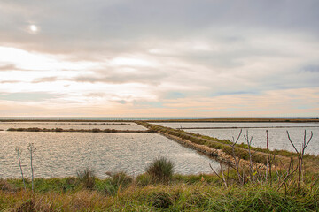 Seascape of the Tarquinia salt pans