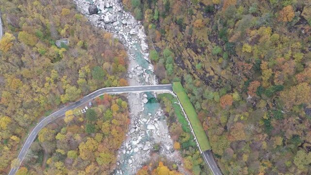 Aerial view of the Verzasca river flowing under a bridge, surrounded by vibrant autumn forests in Lavertezzo, Verzasca, Ticino, Switzerland.