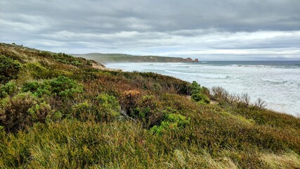beach and dunes