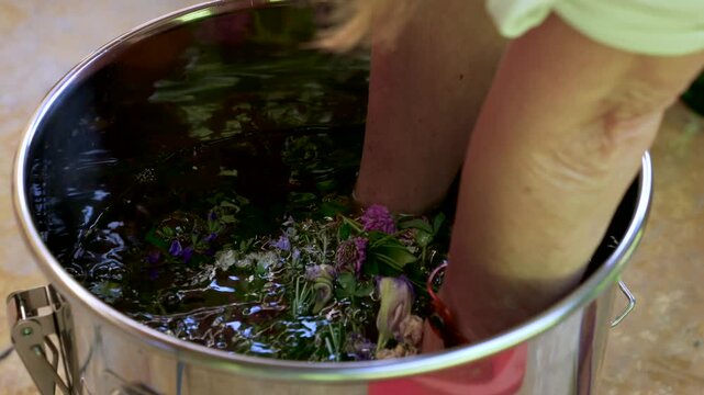 A Caucasian woman dips flowers into water with her hands for the distillation process. Slow motion 4K