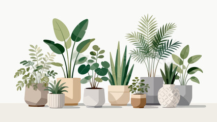 Obraz premium Potted plants collection