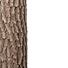 Fototapeta premium Close up of rough textured brown tree bark against a solid black background natural image