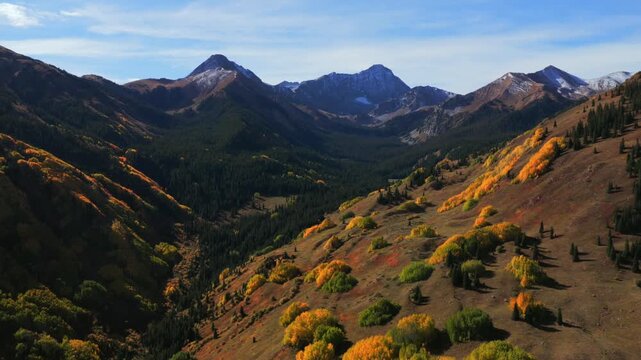 Autumn Fall early morning bluesky sunny snowy Capitol Peak wilderness Aspen Snowmass Colorado aerial drone colorful quaking aspen trees grove White River Forest Elk Range Rocky Mountains circle left