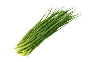 Fresh green chives bunch, culinary herb vegetable, preparing healthy cooking ingredients, transparent background