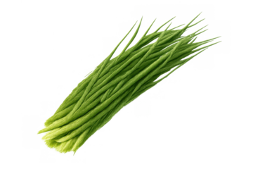 Fresh green chives bunch, culinary herb vegetable, preparing healthy cooking ingredients, transparent background