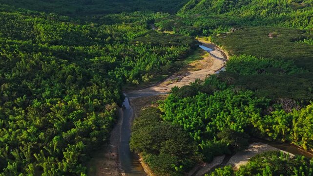 Aerial view of a winding river carving its path through a vibrant green forest, showcasing a stunning contrast of colors and textures, Maasin, Western Visayas, Philippines.