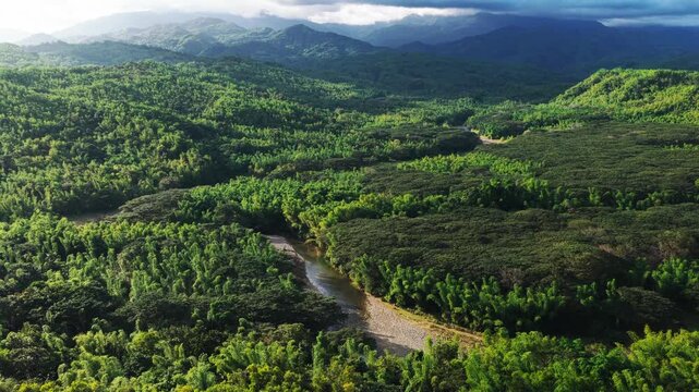 Aerial view of a vibrant landscape where emerald green trees meet a winding river under a cloudy sky, showcasing the beauty of nature, Maasin, Western Visayas, Philippines.
