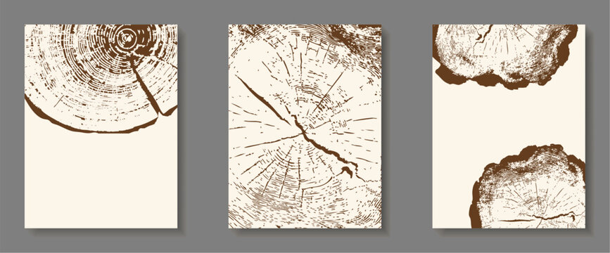 Set of Tree ring patterns on wooden texture backgrounds. Natural wood grain templates with circular trunk cross-sections, tree trunk cross-sections with annual rings for design card flyer project