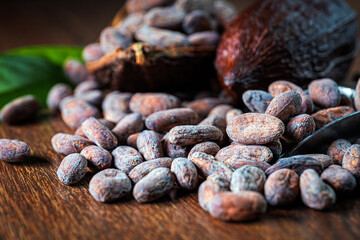 Cocoa beans close-up, organic cacao bean or dried cocoa beans on brown background