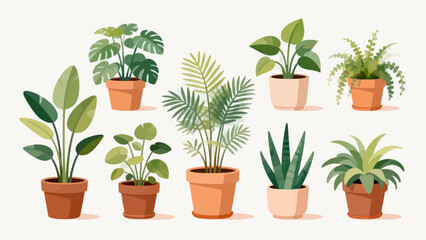 Obraz premium Potted plants collection