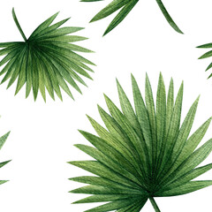 Seamless pattern with tropical palm leaves. Hand-drawn watercolor illustration on a transparent background. Template for textiles, fabric, and scrapbooking. © Olga