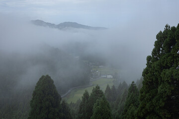 霧中の暮らし