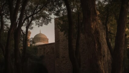 Mosque dome peeks through trees in a serene landscape.