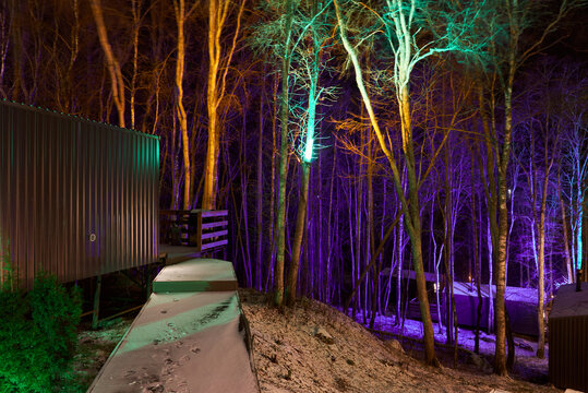 Vivid tree lighting around cabin creates spectacular winter festival scene