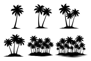 Obraz premium Collection of silhouette palm trees in various arrangements on white background