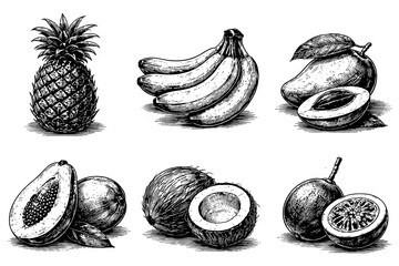 Hand drawn tropical fruits: pineapple, banana, mango, papaya, coconut, passion fruit