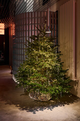 Holiday lighting creates intimate city atmosphere at night