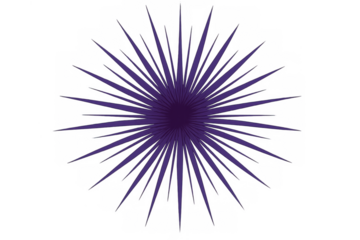 Purple radial starburst background symbol with exploding light rays radiating from a central point, transparent