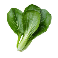 Vibrant bok choy displays its fresh, green leaves against a dark backdrop.