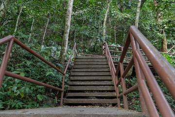 Wooden staircase with metal railings leading through dense forest, Khao Yai, Thailand
