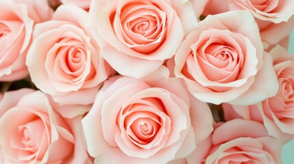 Soft pink roses bouquet with delicate petals and gentle hues