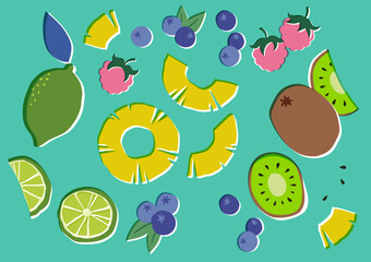 Cute vector fruit illustration set in an art print style featuring kiwi, lime, pineapple slices, blueberries, and raspberries.
