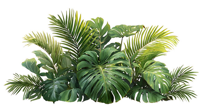 Tropical Plant Grouping with Monstera and Palm Leaves Keywords: tropical plants, jungle foliage