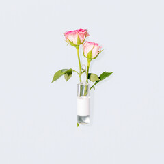Beauty Injections Concept with Pink Roses in Glass Ampoule on Pastel Blue. Modern Aesthetic of Mesotherapy, Natural Fillers, Anti-aging Procedures, Botanical Ingredients for Professional Cosmetology